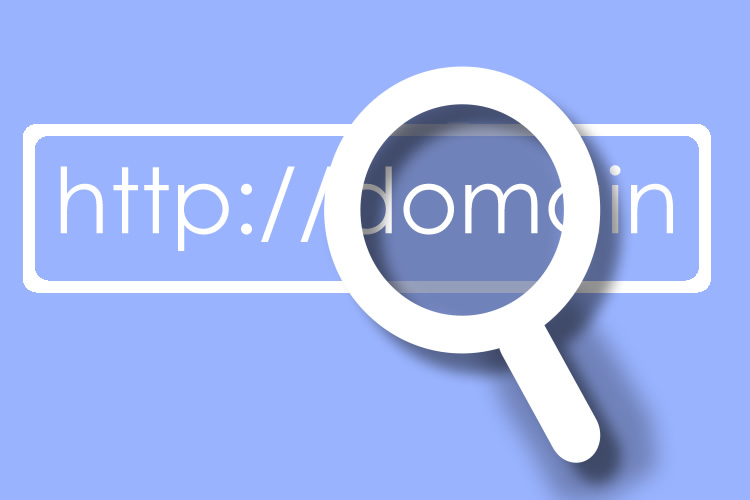 Domain Name Register and Renewal